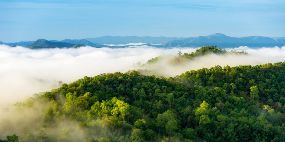 Header of sustainability .png